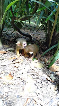 石垣やいま村に投稿された画像（2025/8/14）