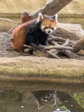 那須どうぶつ王国に投稿された画像（2025/8/14）