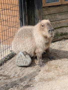 那須どうぶつ王国に投稿された画像（2025/8/14）