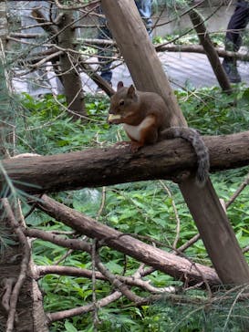 那須どうぶつ王国に投稿された画像（2025/8/14）