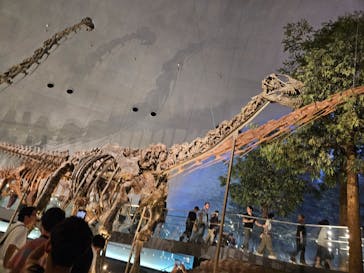 福井県立恐竜博物館に投稿された画像（2025/8/14）