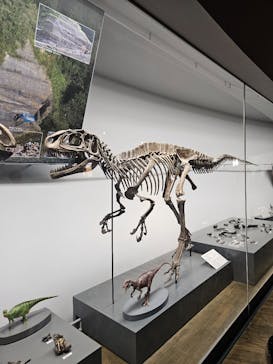 福井県立恐竜博物館に投稿された画像（2025/8/14）