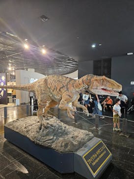 福井県立恐竜博物館に投稿された画像（2025/8/14）