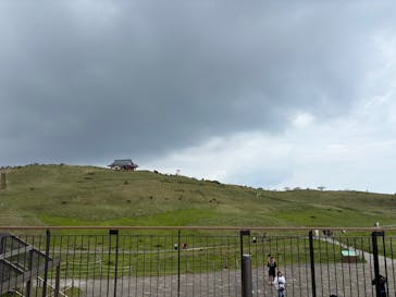 彫刻の森美術館に投稿された画像（2025/8/14）