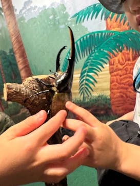 体感するファーブル昆虫展in横浜赤レンガ倉庫に投稿された画像（2025/8/14）