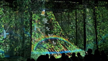 旅する光の切り絵展 ～くうそうって、まほうだよ～に投稿された画像（2025/8/14）