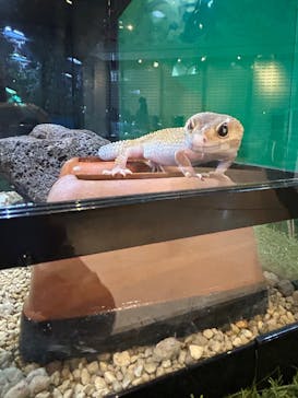 ポルトヨーロッパに投稿された画像（2025/8/14）