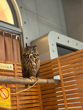 ポルトヨーロッパに投稿された画像（2025/8/14）