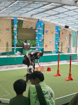 おさるランド＆アニタウン　日光さる軍団劇場に投稿された画像（2025/8/14）