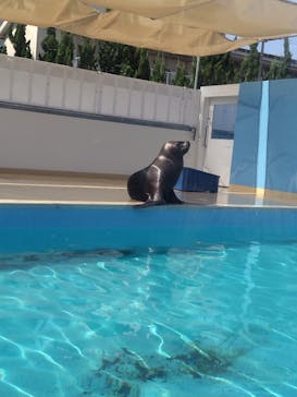 竹島水族館に投稿された画像（2025/8/14）