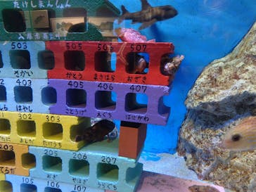 竹島水族館に投稿された画像（2025/8/14）