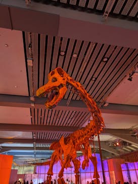 巨大恐竜展2025に投稿された画像（2025/8/14）