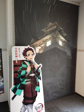 小田原城に投稿された画像（2025/8/14）