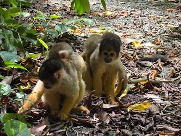 石垣やいま村に投稿された画像（2025/8/14）