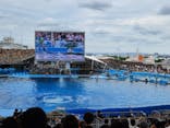 名古屋港水族館に投稿された画像（2025/8/14）
