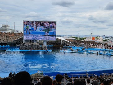 名古屋港水族館に投稿された画像（2025/8/14）
