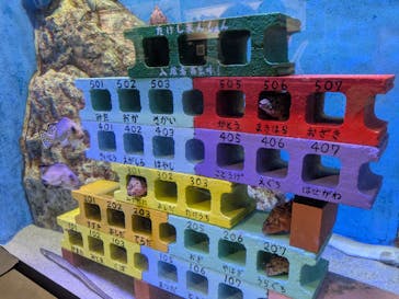 竹島水族館に投稿された画像（2025/8/14）