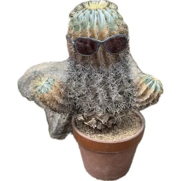 伊豆シャボテン動物公園に投稿された画像（2025/8/14）