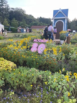 ムーミンバレーパークに投稿された画像（2025/8/14）