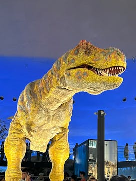 福井県立恐竜博物館に投稿された画像（2025/8/14）