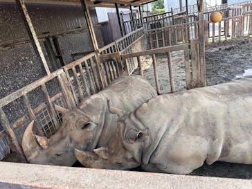 那須サファリパークに投稿された画像（2025/8/14）