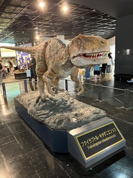 福井県立恐竜博物館に投稿された画像（2025/8/14）