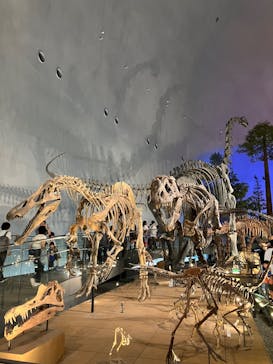 福井県立恐竜博物館に投稿された画像（2025/8/14）