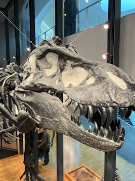 福井県立恐竜博物館に投稿された画像（2025/8/14）