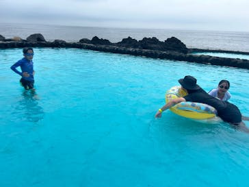 伊豆海洋公園磯プールに投稿された画像（2025/8/14）