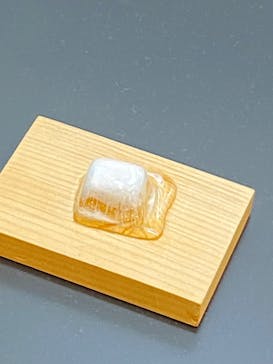 キボリノコンノ展 ＠静岡市清水文化会館マリナートに投稿された画像（2025/8/14）