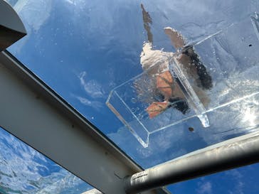 サンシャイン水族館に投稿された画像（2025/8/14）