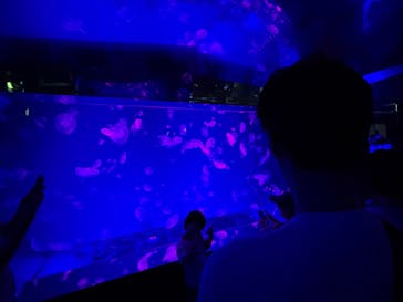 名古屋港水族館に投稿された画像（2025/8/14）