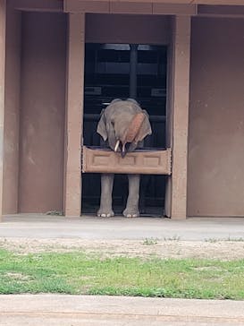 名古屋市東山動植物園に投稿された画像（2025/8/14）