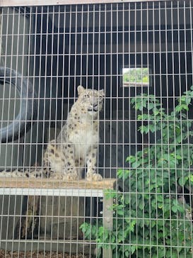 名古屋市東山動植物園に投稿された画像（2025/8/14）