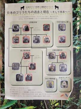 名古屋市東山動植物園に投稿された画像（2025/8/14）