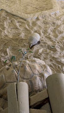 NIFREL（ニフレル）に投稿された画像（2025/8/14）