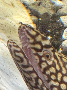 NIFREL（ニフレル）に投稿された画像（2025/8/14）