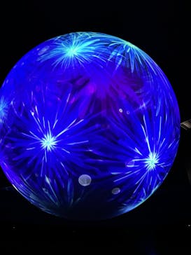 NIFREL（ニフレル）に投稿された画像（2025/8/14）