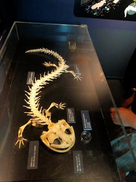 京都水族館に投稿された画像（2025/8/14）