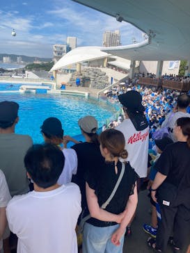 鴨川シーワールドに投稿された画像（2025/8/14）