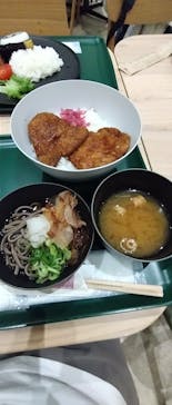 福井県立恐竜博物館に投稿された画像（2025/8/14）