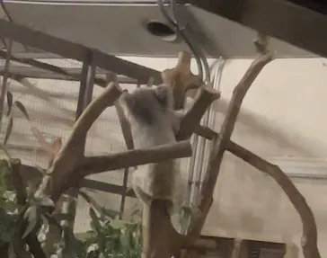 多摩動物公園に投稿された画像（2025/8/14）