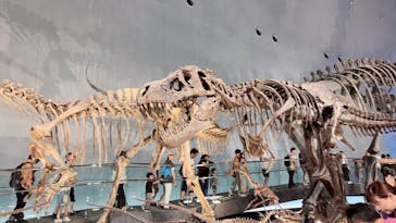 福井県立恐竜博物館に投稿された画像（2025/8/14）