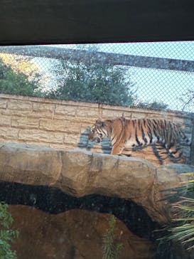 日立市かみね動物園に投稿された画像（2025/8/14）