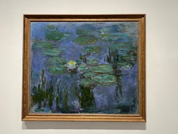 モネ 睡蓮のとき（豊田会場）に投稿された画像（2025/8/14）