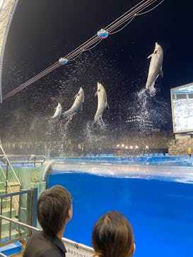 名古屋港水族館に投稿された画像（2025/8/14）