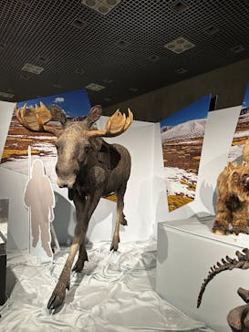 特別展「氷河期展 〜人類が見た4万年前の世界〜」（国立科学博物館）に投稿された画像（2025/8/14）