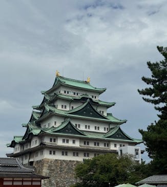 名古屋城に投稿された画像（2025/8/14）