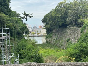 名古屋城に投稿された画像（2025/8/14）