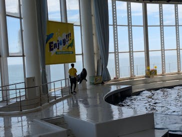 アクアワールド茨城県大洗水族館に投稿された画像（2025/8/14）